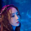 태연라이브