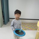 해피해피유아체육 Daum카페