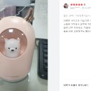펫 가디언 이미지