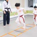 용문태권도장 이미지