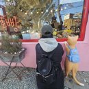 감천제방 이미지