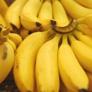 엔치과의원 이미지