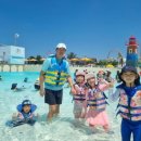 창수초등학교 이미지