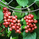 운주농장 이미지