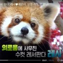 초우농장2 이미지