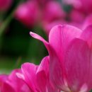 오늘하루 이미지