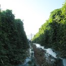 새순2농장 이미지