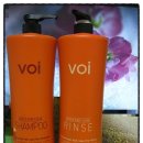 샴푸보이 이미지