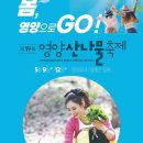 나무여행 이미지