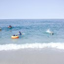 잔디휴가중 이미지