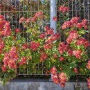 삼화사노인요양원 이미지