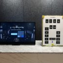더스윙고양 이미지