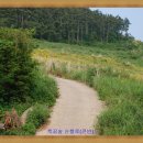 짝꿍숲어린이집 이미지