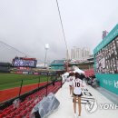두리위즈 이미지