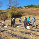 덕산면행정복지센터 이미지