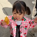 서천-15 | [충남 서천] 서천동백꽃쭈꾸미축제 아이랑 가기좋은지 솔직후기 아쉬운점