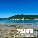 장평신촌1길 | 통영 갯벌 체험 펜션 아이랑 가기 좋은 가성비 숙소 아이리스