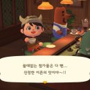 둥지카페