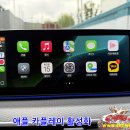 카플레이 - 14333 | 카플레이