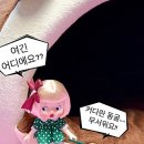 도레미 돌스 이미지