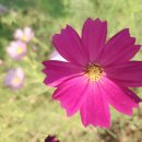 더채운한의원 이미지