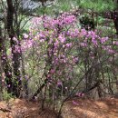 곡성-226 이미지