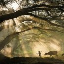 파워퍼스트호텔 이미지