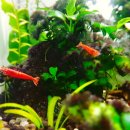 경주카정비 이미지