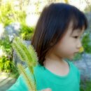 아름다운관광농원화수목 이미지