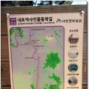 용봉초교 이미지