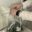 김천구미키즈