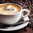 셀렉토 이미지