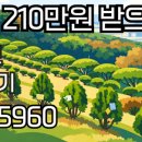 동선목장 티스토리