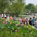 서동연가 이미지