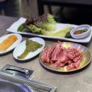 신비전갈비