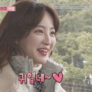 우리집에왜왔니 이미지