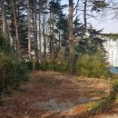 양덕동357 | [경매] 이번주 관심물건 결과 정리