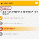 실려가서 운전면허따기 / 경기도양주 ok 운전전문학원 오케이운전전문학원 쉬운 운전면허 3일 딴 후기
