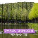 쉼이필요할때 | 블로그 쓰기 ‘쉼’이 필요할 때 잠깐 멈추는 기록