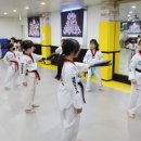 용인대 석사 타이거즈 태권도장 이미지