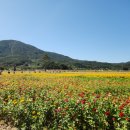 북천 간이화장실 이미지