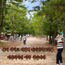 한국천기권 이미지