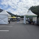 곰's 골프 이미지