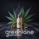 레인전자 이미지