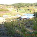 성북2리 이미지