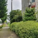 신풍모텔 이미지