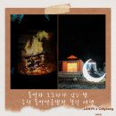 멍박스 | 반려견동반캠핑장 추천｜홍천 불멍멍글램핑 가족 숙박 후기