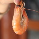 그린수산 이미지