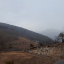 단풍흑염소 농장 이미지