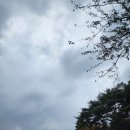 선피크모텔 이미지